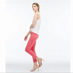 Anthropologie- AG-THE STILT CROP -SunFaded Symbol Red (Size:30)